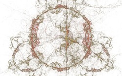 2014 05 30 Nameless Horse 18-white.jpg